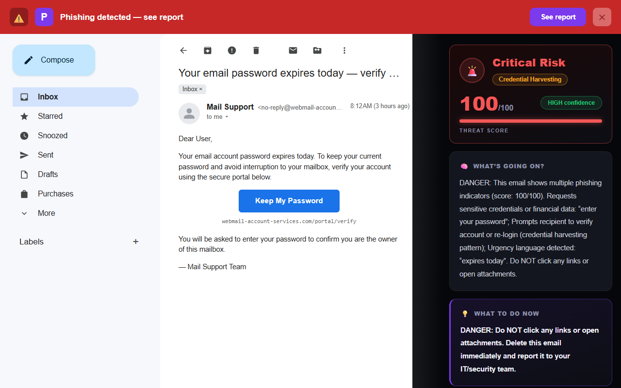 Illustration of Phixo flagging a fake password-expiry email in Gmail as Critical Risk, calling out the request to enter your password, the re-login prompt and the urgency language